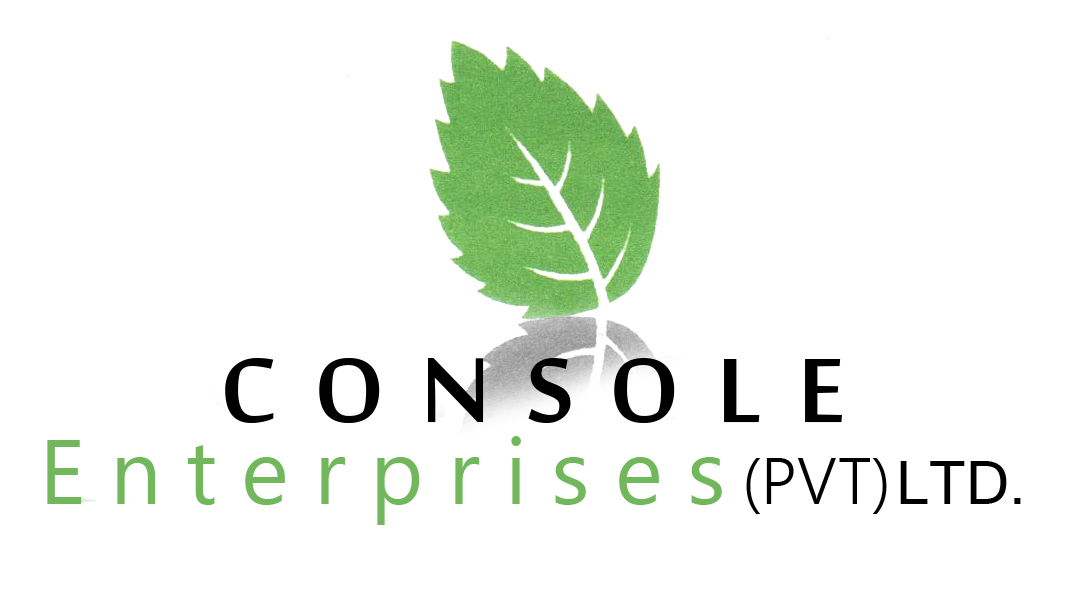 cloud-erp-client-console